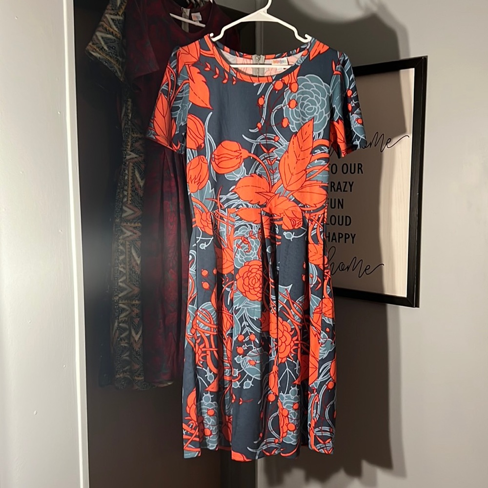 LuLaRoe Amelia Dress Size XL